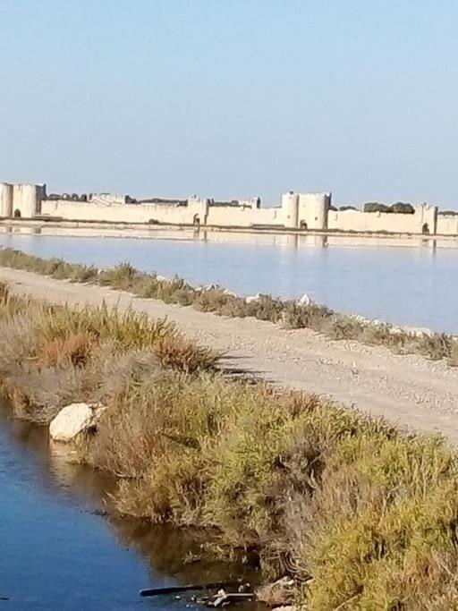 Aigues Mortes Studio De Vacances En Camargue Eksteriør billede