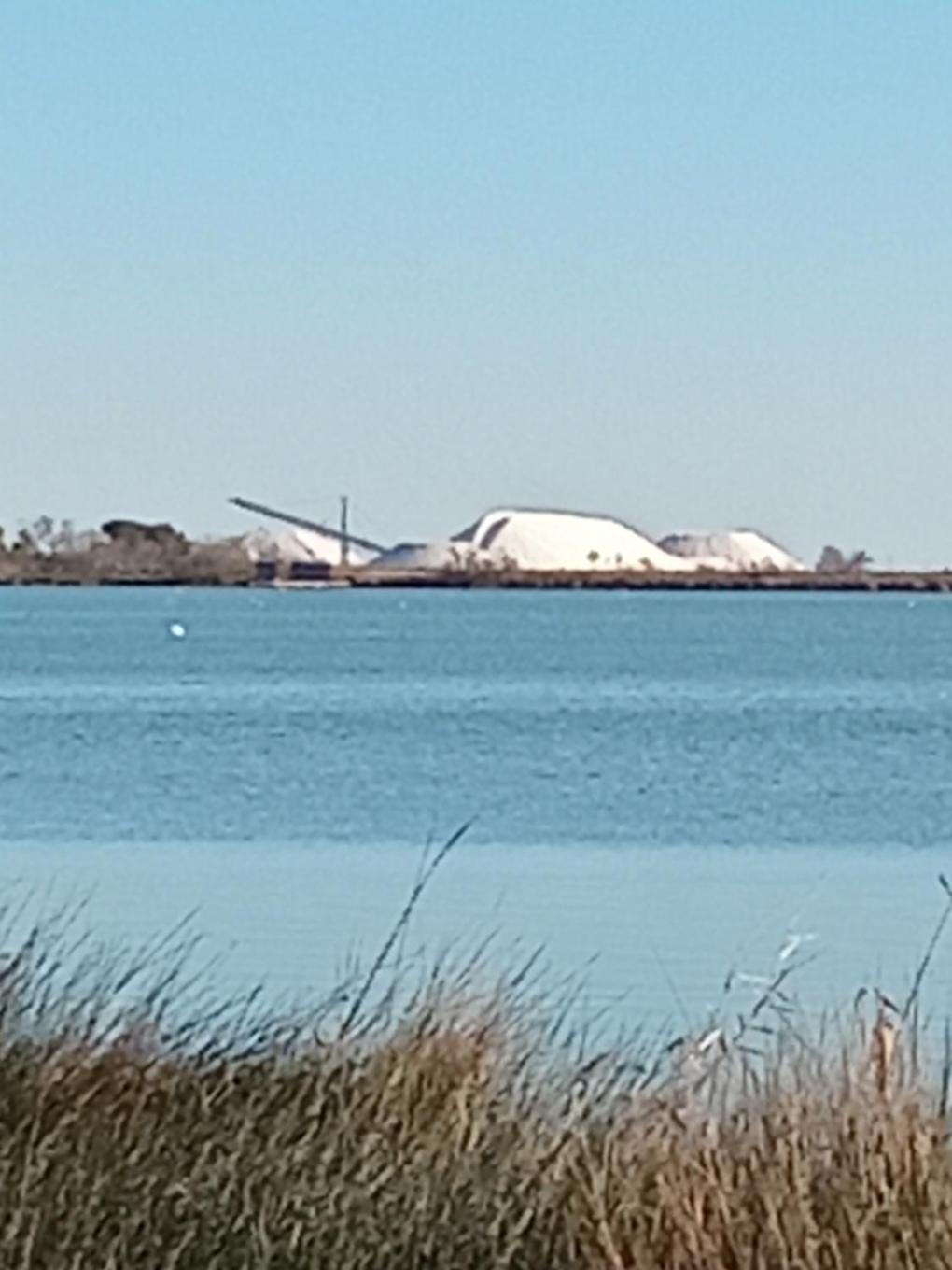 Aigues Mortes Studio De Vacances En Camargue Eksteriør billede